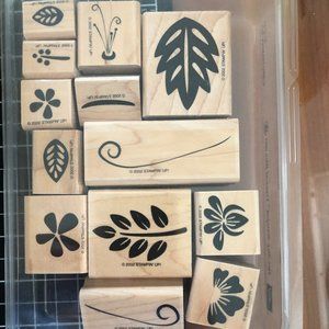 Stampin' Up!  Two-Step Stampin - Tropical Blossoms